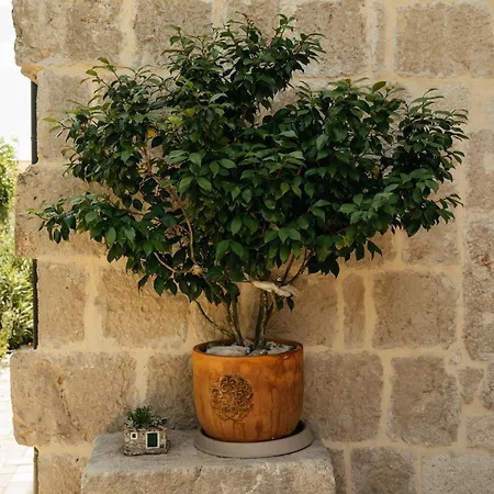 Stone Luxury Imota
